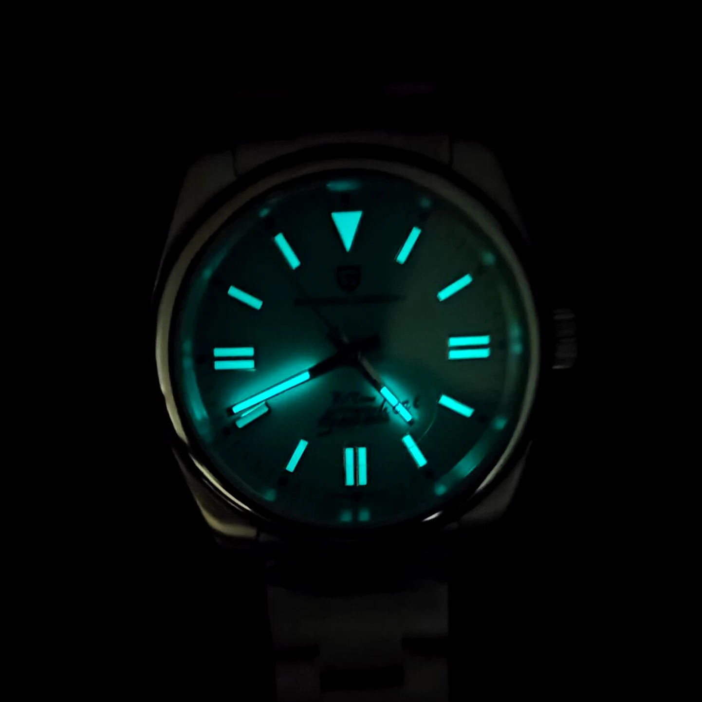 PAGANI DESIGN Luxury Classic M - Seiko Watch Prospex ulasan dan harga