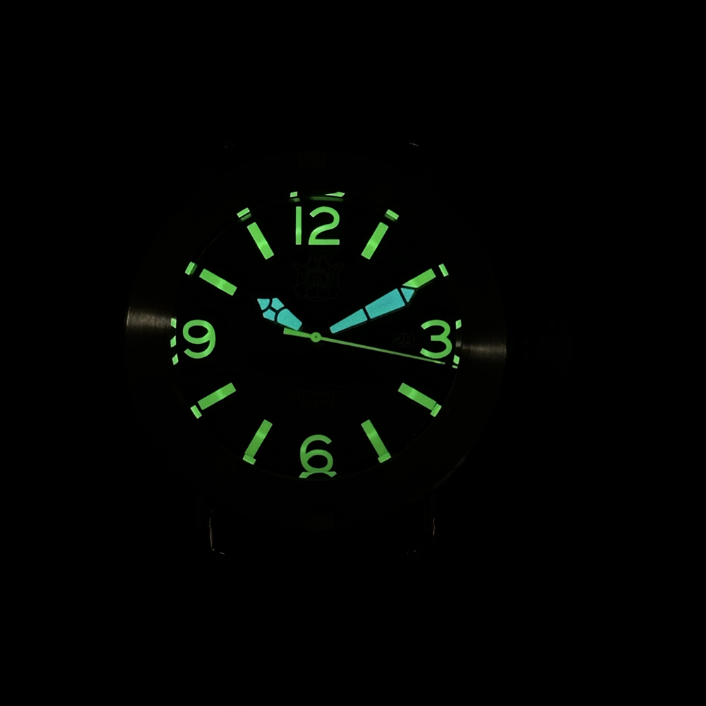 Steeldive 2025 Watch SD1912 Ov - Seiko Watch Prospex ulasan dan harga